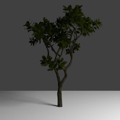 Cycles tree preview image